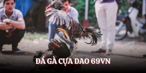 Đá gà cựa dao tại 69VN