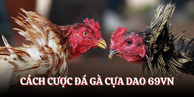 Các cách tham gia đá gà 69VN