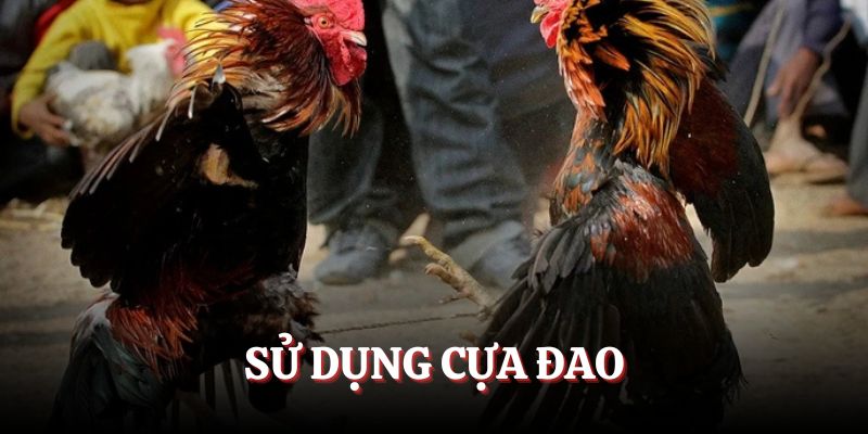 Sử dụng cựa dao chính xác
