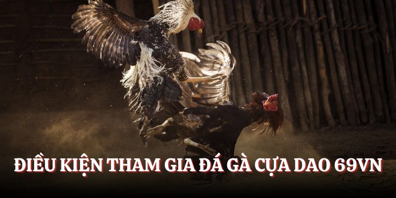 Những điều kiện cần biết khi tham gia đá gà cựa dao 69VN