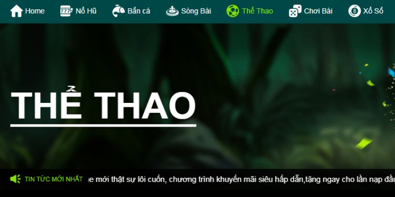 Vài nét sơ lược về Thể Thao 69VN