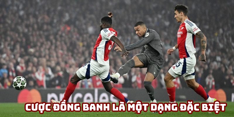 Cược đồng banh là một dạng đặc biệt